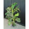 PLANTA PVC 64X64X90 FATSIA JAPONICA VERDE