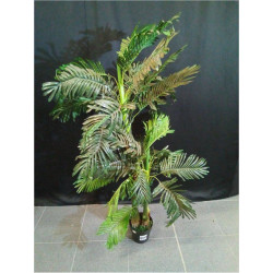 PLANTA PVC 64X64X90 FATSIA JAPONICA VERDE