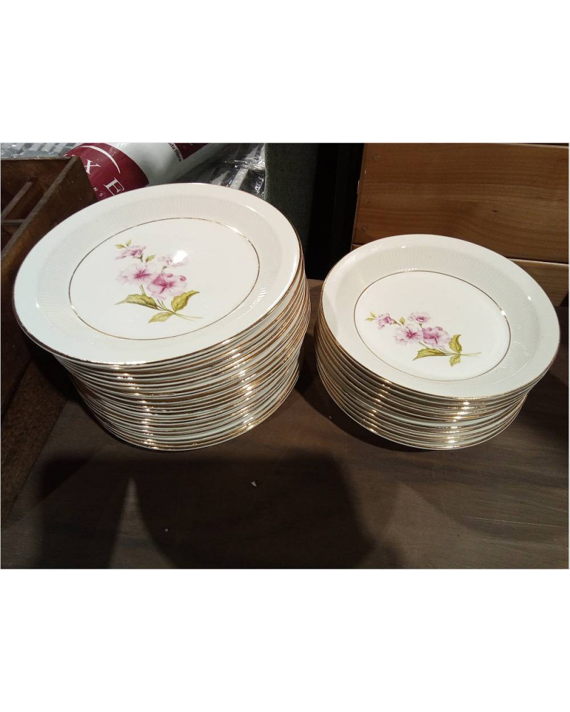 31 PLATOS PORCELANA DE GIEN