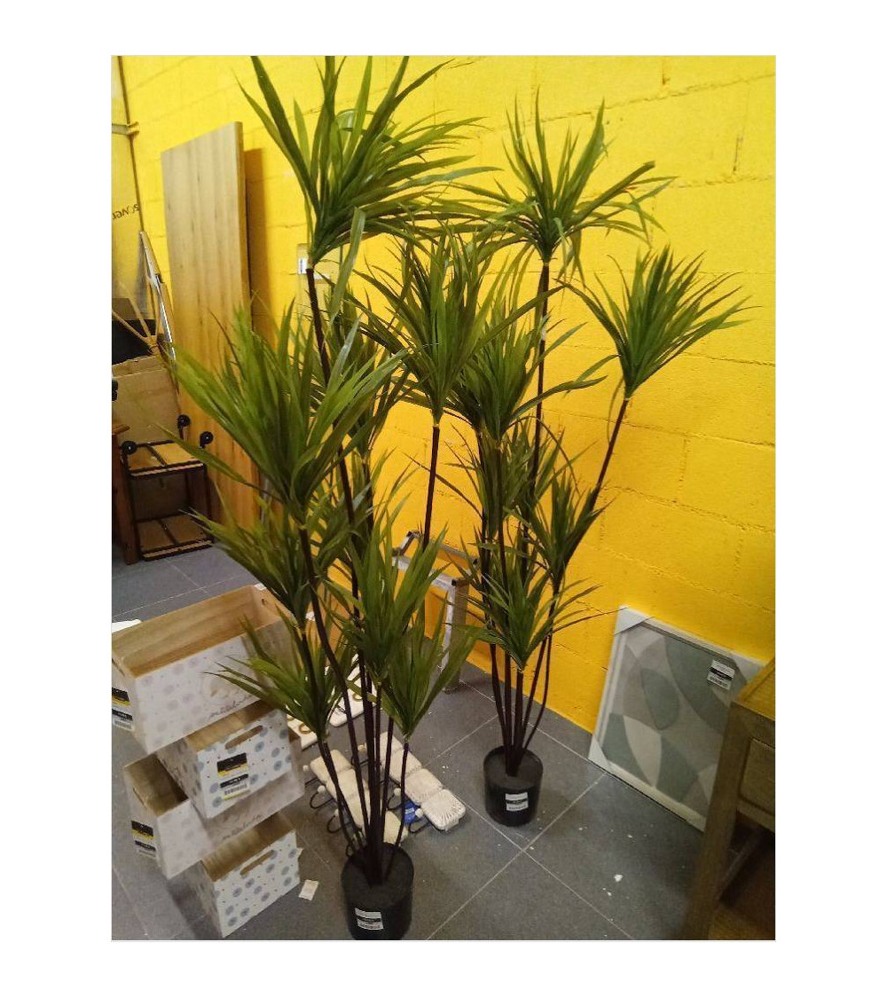 PLANTA POLIESTER PP 75X75X180 DRACENA VERDE