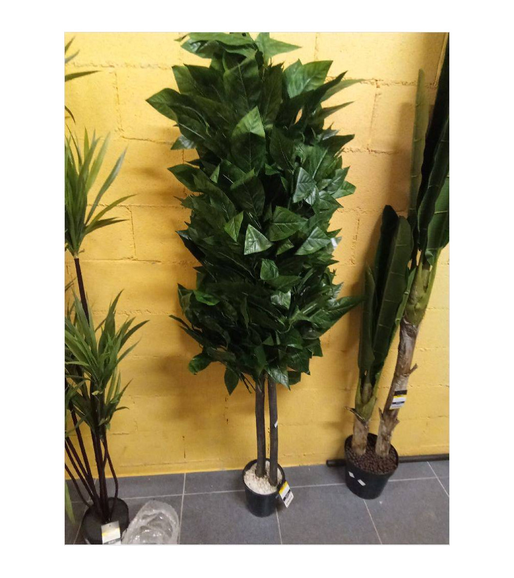 ARBOL MADERA POLIESTR 90X90X180XMANGO VERDE