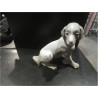 FIGURA PERRO NAO