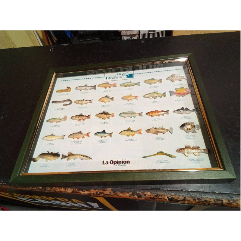 CUADRO PECES