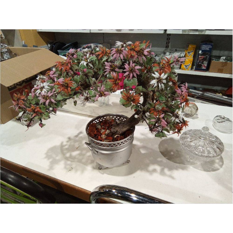 BONSAI