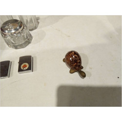 TORTUGA