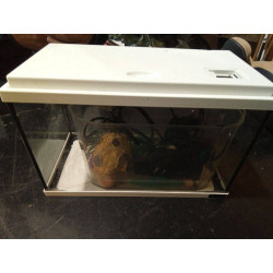ACUARIO CON ACCESORIOS