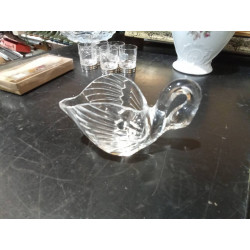 CISNE