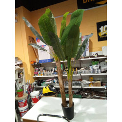 PLANTA DECORATIVA 
