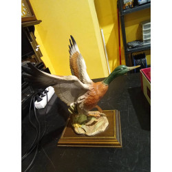 FIGURA PATO