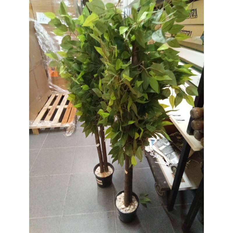 ARBOL POLIESTER MADERA 80X80X150 FICUS VERDE