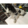 PERRO CERÁMICA COCKER SPANIEL
