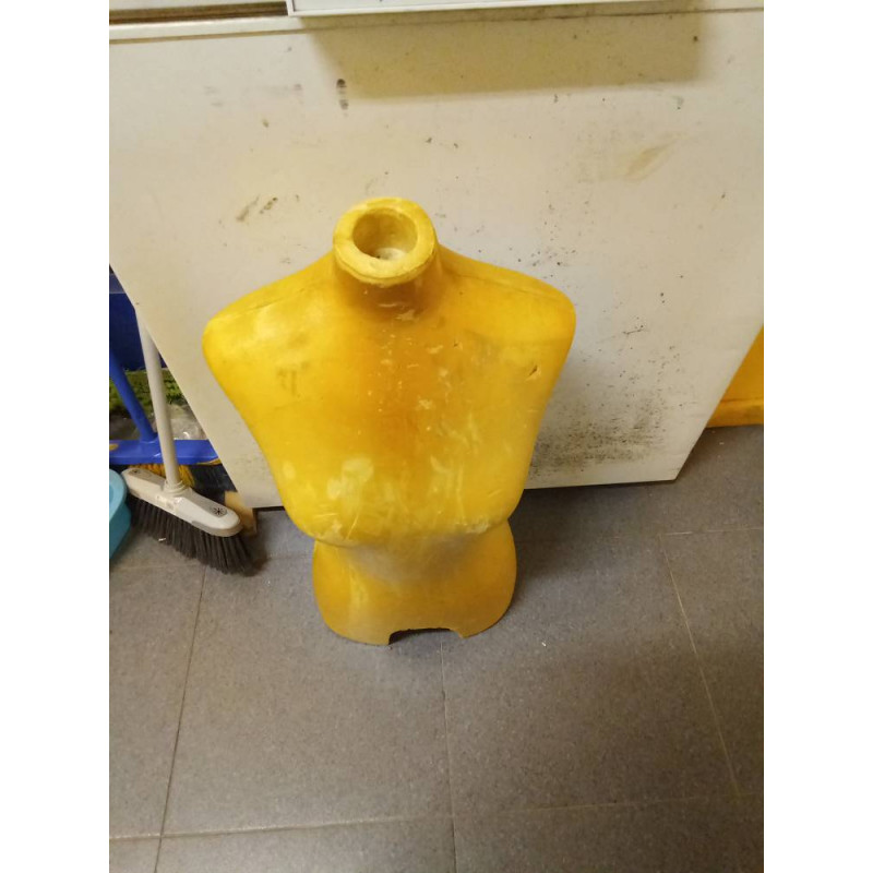 TORSO