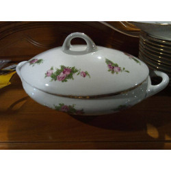 LEGUMBRERA LIMOGES