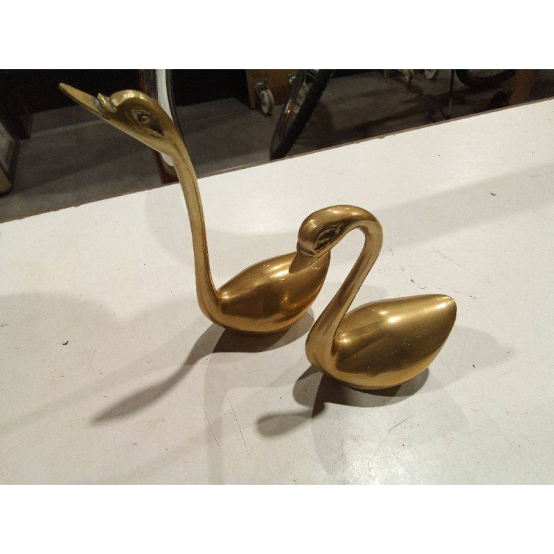CISNE BRONCE