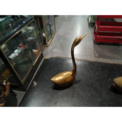 CISNE