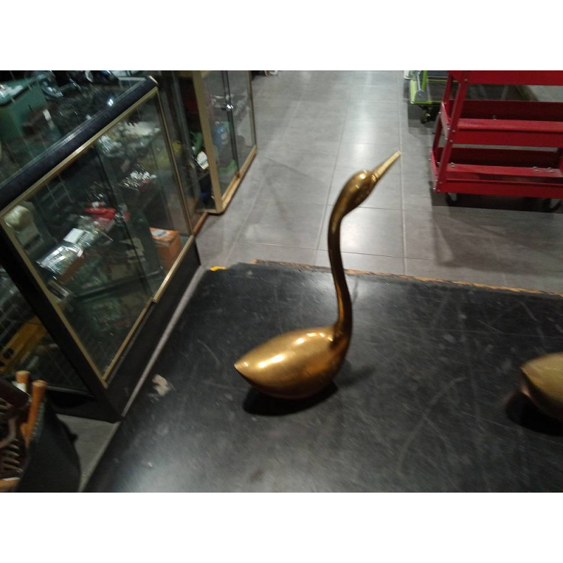 CISNE