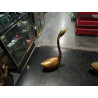 CISNE