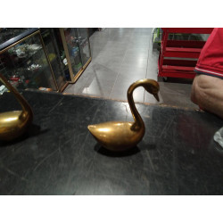 CISNE