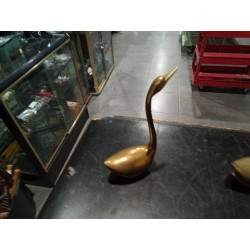 CISNE