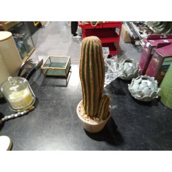 CACTUS DECO