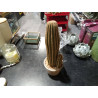 CACTUS DECO