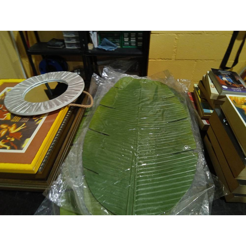 HOJA ESTANQUE