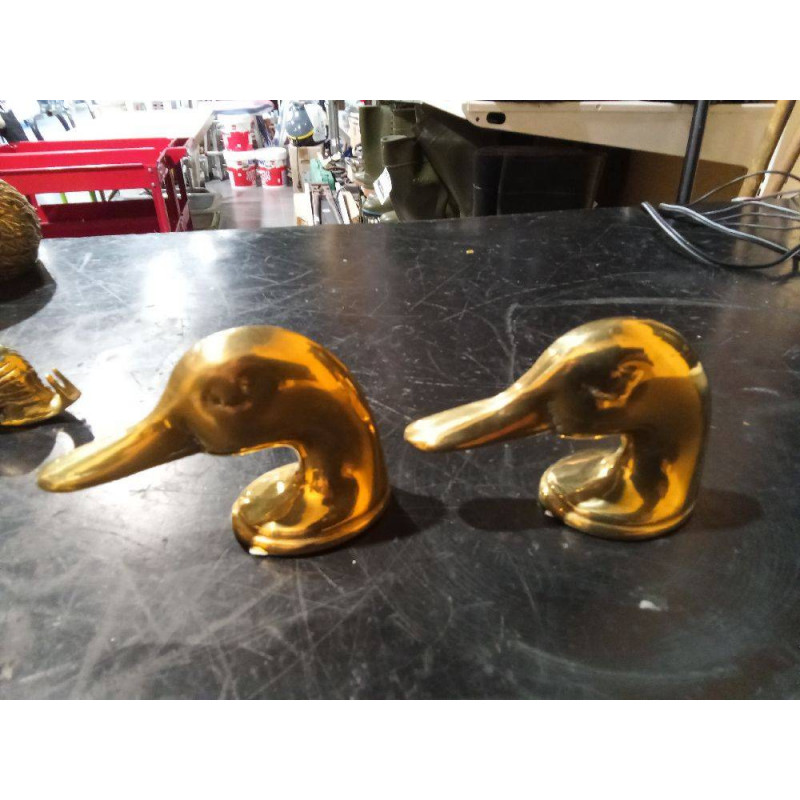 PATO BRONCE