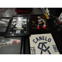 CUADRO BOXEO