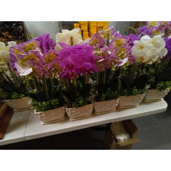 ORQUIDEA CON JARRON 