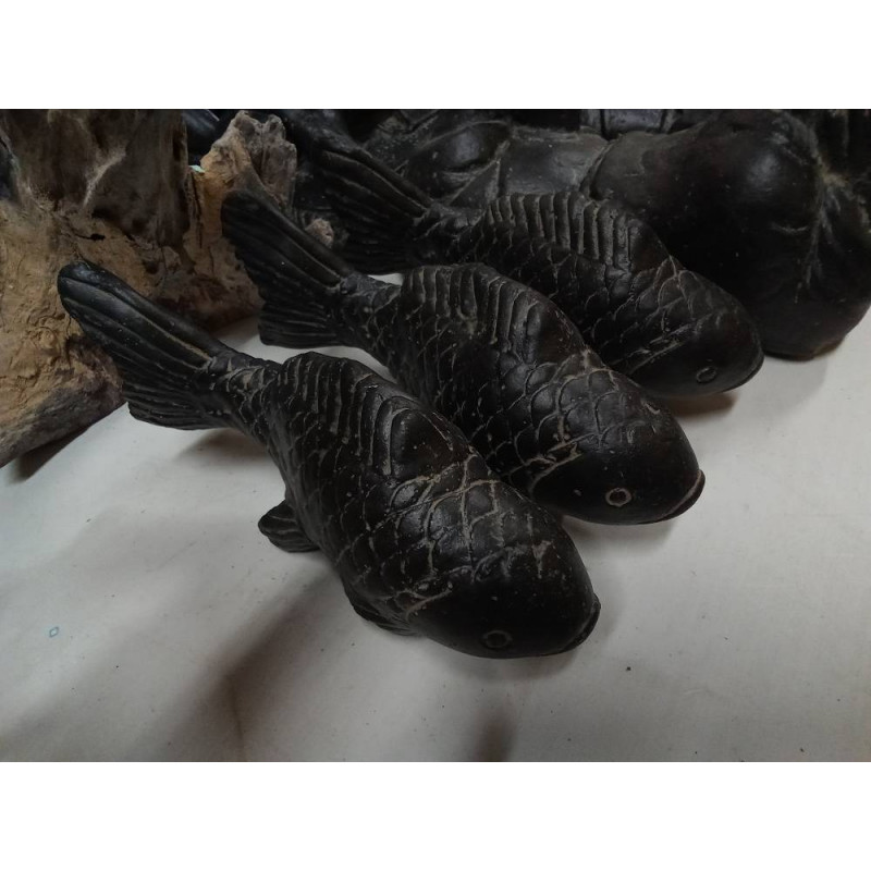 CARPA JAPONESA