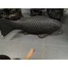 FISH 60 CM