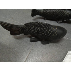 CARPA 40 CM
