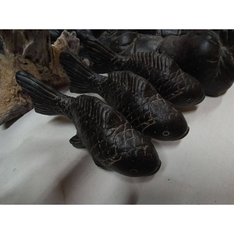 CARPA JAPONESA