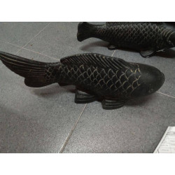 CARPA 40 CM