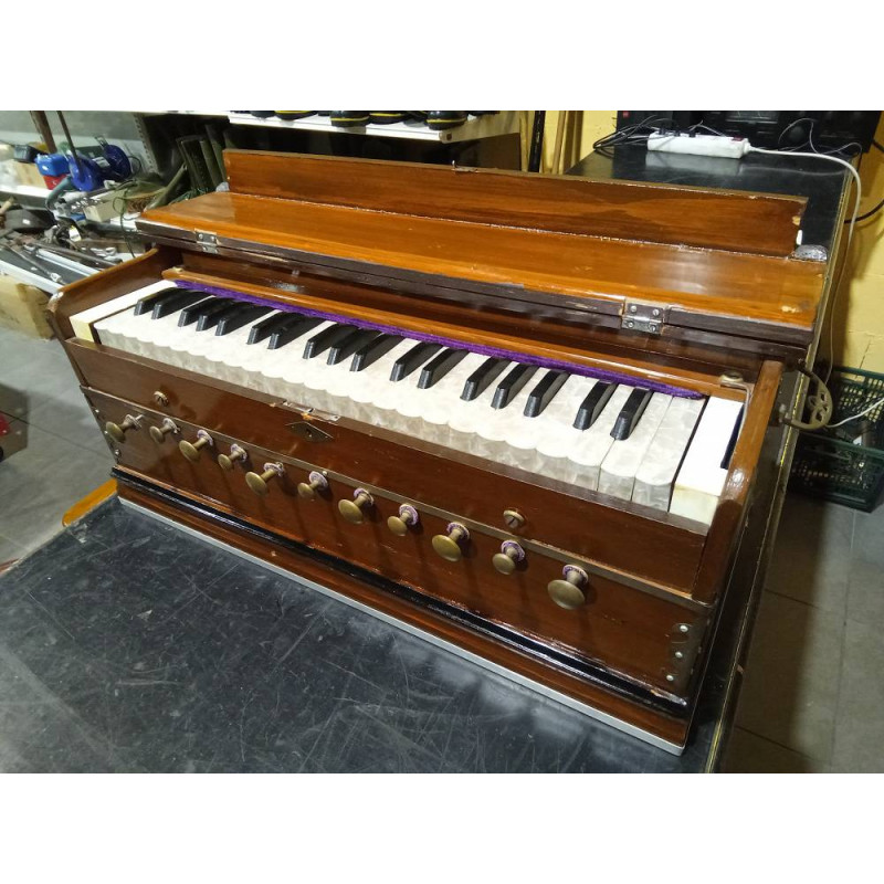 ARMONIO INDIO