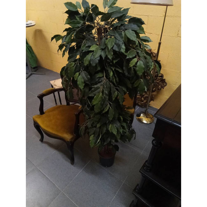PLANTA ARTIFICIAL
