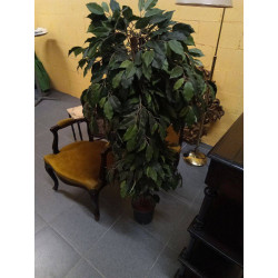 PLANTA ARTIFICIAL