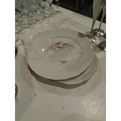 CONJUNTO PLATO Y FUENTE