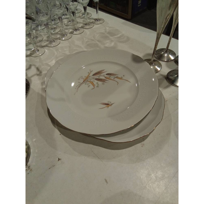 CONJUNTO PLATO Y FUENTE