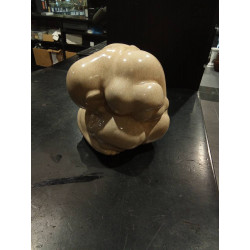 FIGURA 