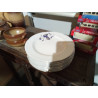 LOTE 10 PLATOS 