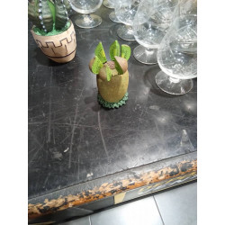 JUEGO PINCHOS