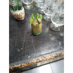 JUEGO PINCHOS