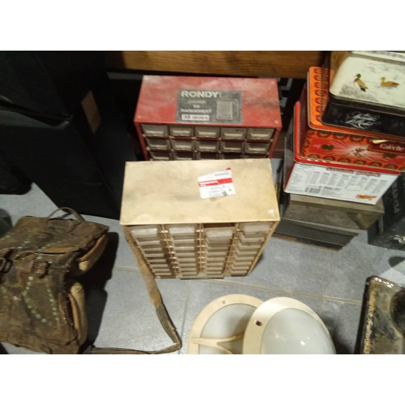 ORGANIZADOR 