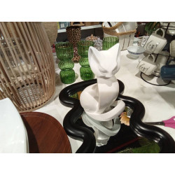 GATO BLANCO 