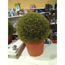 PLANTA ARTIFICIAL 