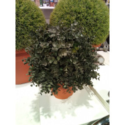 PLANTA ARTIFICIAL 
