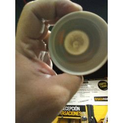 JUEGO CAFE JAPONES CASCARA HUEVO 6 SERV.