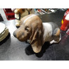 PERRO CAZA
