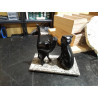 FIGURA GATOS